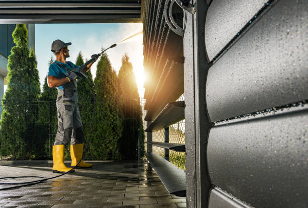 Best Local Pressure Washing Services  in Toledo, IL