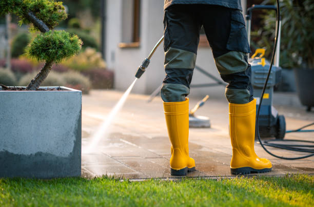 Best Best Pressure Washing Companies  in Toledo, IL